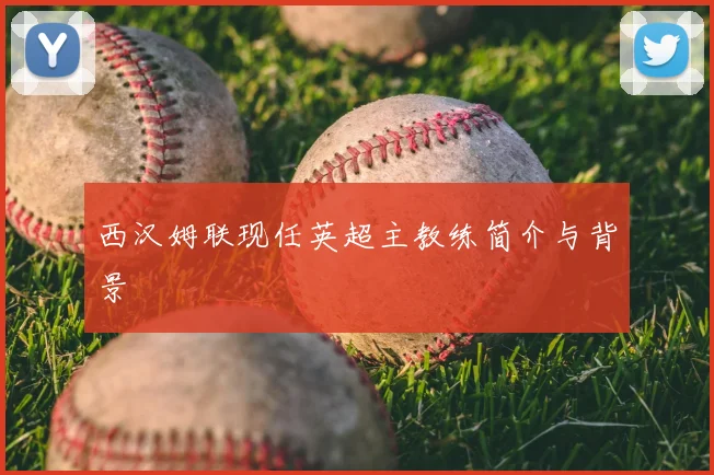 西汉姆联现任英超主教练简介与背景