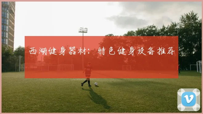 西湖健身器材：特色健身设备推荐