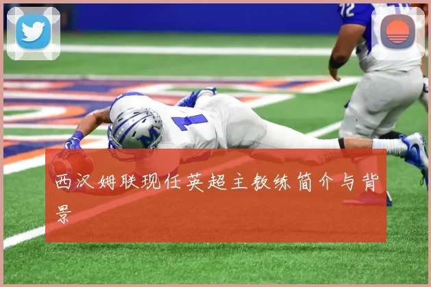 西汉姆联现任英超主教练简介与背景