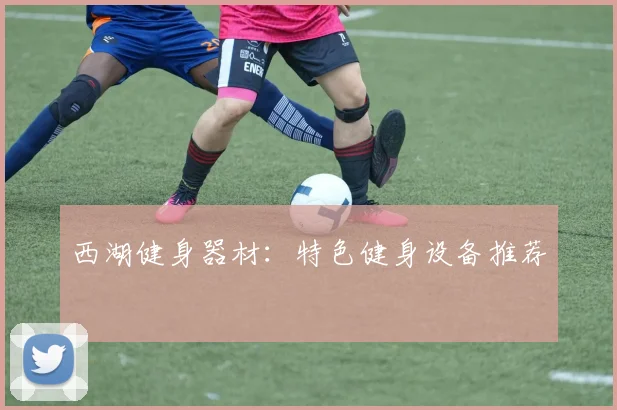 西湖健身器材:特色健身设备推荐