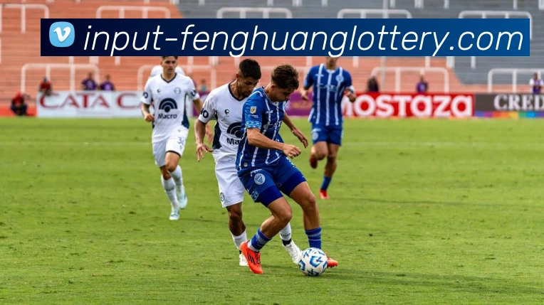 凤凰彩票官方网站平台生态图